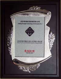 “2008嵌入式系統十佳企業”獎牌