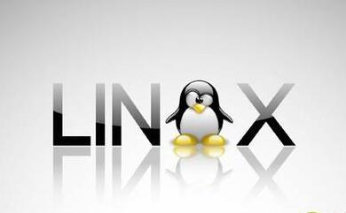 linux_l(f)Ӗ(xn),linux_l(f)