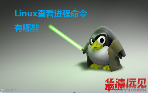 Linux鿴M(jn)Щ