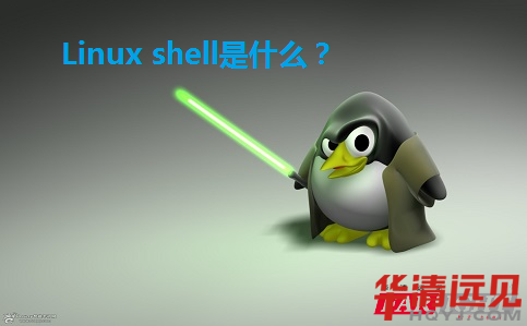 Linux shellʲô